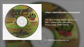 The Fab 5  Leflaur Leflah Eshkoshka Instrumental [upl. by Tugman]