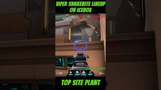 Viper Snakebite Lineup on Icebox  TOP SITE plant valorant shorts [upl. by Anitnamaid]