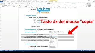 Come aggiungere unesperienza lavorativa nel curriculum in Word [upl. by Flanigan]