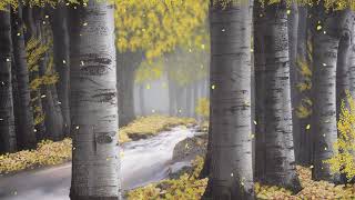 The Lord of the Rings  Lothlorien in Spring Ambience 4K  stream creaky trees birdsong [upl. by Batchelor]