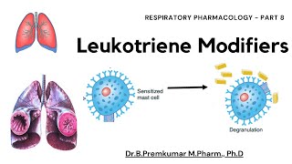 Leukotriene modifiers  Respiratory Pharmacology  Part 8 [upl. by Robers]