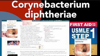 Corynebacterium diphtheriae in HindiUrdu by first aid for USMLE step 1 [upl. by Yazbak71]