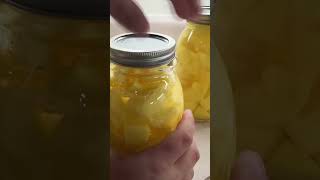 Pressure Canning Potatoes 🥔 homestead canning canningandpreserving homemade foodpreservation [upl. by Seko]