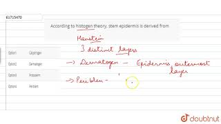 According to histogen theory stem epidermis is derived from [upl. by Erund]