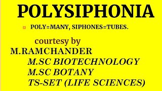 Polysiphonia life cycle for english medium [upl. by Ahsenar622]