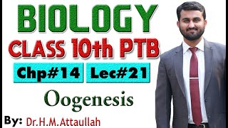 Oogenesis  Chapter  14  Biology Class 10th  Lec 21 [upl. by Llehsyar155]