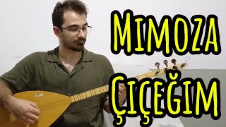 Mimoza Çiçeğim Kısa Sap Bağlama [upl. by Odell981]