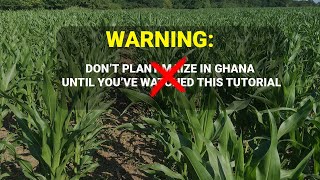 Business Plan for Commercial Maize Farming [upl. by Pilar163]