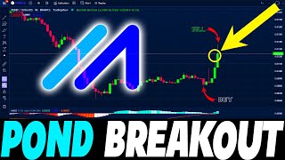 MARLIN POND CRYPTO HUGE BREAKOUT  MARLIN POND PRICE PREDICTION amp WHERE TO BUY ✅ [upl. by Ermina432]