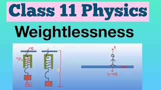 Weightlessness Hindi  Class 11  Physics [upl. by Annmaria84]