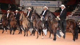 III Festival Equino Puerto Berrio Antioquia  TvAgro por Juan Gonzalo Angel [upl. by Essirahc920]