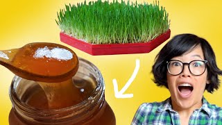 I Grew GRASS amp Turned It Into A Sweet SYRUP  Homemade Malt Syrup [upl. by Sillihp]