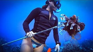 Spearfishing Catch amp Cook Deadly Venomous Fish [upl. by Anauqes]