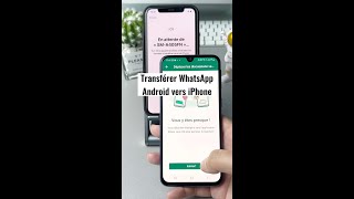 Comment transférer WhatsApp Android vers iPhone shorts [upl. by Irej659]