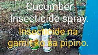 Mga insecticide na mabisang gamitin sa pipino [upl. by Aisatan216]