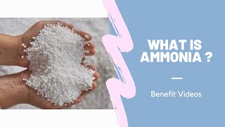 What Is Ammonia [upl. by Aicittel123]