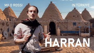 Harran Ruin and Rebirth in the Fertile Crescent [upl. by Anawahs]