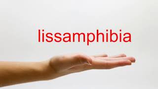 How to Pronounce lissamphibia  American English [upl. by Neelie]