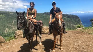 Hawaiis MOST Scenic Place  Horseback Riding the Waipio Valley Rim 🏞 DJi Mavic [upl. by Galligan]