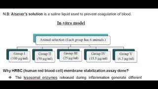 Lab 7 In vitro and In vivo anti inflammatory  Bioassay and screening [upl. by Soma]