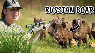 I HUNTED a Russian Hog At a RANCH In The BackWoods Of PA [upl. by Asila]