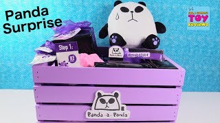 Panda A Panda Surprise Present Figures Plush amp More Toy Review Unboxing  PSToyReviews [upl. by Leunamme]