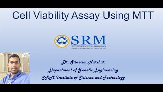 Cell Viability Assay Using MTT Dr Sitaram Harihar Animal Biotechnology Genetic Engineering  SRM [upl. by Babara]