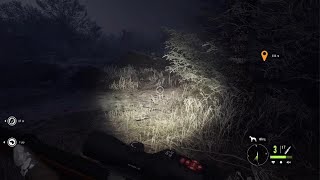 theHunter Call of the Wild found musk deer doddies and face wolves [upl. by Samira291]