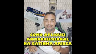 COMO APLIQUEI INJECAO PARA NAO ENGRAVIDAR GATOS E CACHORRO [upl. by Nahtaj]