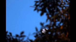 Waning Gibbous Moon [upl. by Salinas]