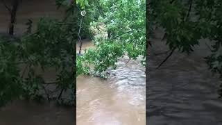 Tropical Storm Debby Charlotte Risks Flash Flooding [upl. by Aaronson436]