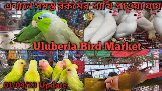 Uluberia Pet Market 010423 Uluberia Birds Market [upl. by Canfield]