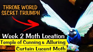 Destiny 2  Lepidopterist Triumph  Week 2 Lucent Moth Locations [upl. by Bluefield168]