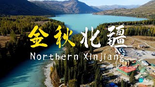 畅游北疆，去看中国最美的秋天｜Northern Xinjiang Travel Guide The Best Place in China to See Fall Foliage [upl. by Enelrihs]