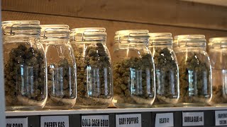 Redmond voters to decide if cannabis dispensaries are allowed in city limits [upl. by Skeie]