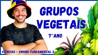 🌻Grupos Vegetais  Briófitas Pteridófitas Gimnospermas e Angiospermas  Aula Completa  Botânica [upl. by Birkle]