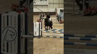 Addington Equestrian Centre 1m open class 825 double clear 🥳 horseriding horses showjumping [upl. by Broderick]