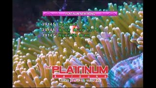 Platinum Karaoke Livestream [upl. by Mcgean]