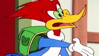 Woody Woodpecker Show  Inn Trouble  1 Hour Compilation  Cartoons For Children [upl. by Pierson]