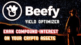 Beefy finance overview  best yield optimizer [upl. by Roede]