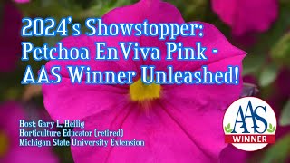 2024s Showstopper Petchoa EnViva Pink AAS Winner Unleashed [upl. by Ladiv]