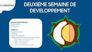 Deuxième semaine de développement embryonnaire  Embryologie générale [upl. by Aihsile938]