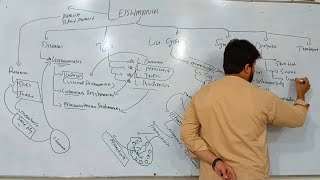 Leishmania  Types of Leishmania  Diagnosis and Treatment of Leishmaniasis [upl. by Galligan149]