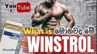 What is WINSTROL  WINSTROL පිළිබඳ දැනගන්න Sinhala සිංහල භාෂාව [upl. by Burroughs824]