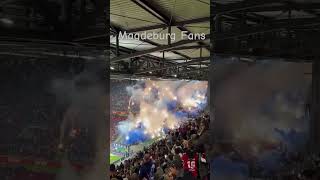 FC Magdeburg fans at Koln 🇩🇪 football germany bundesliga fans shorts [upl. by Doak]