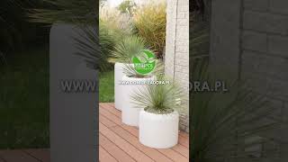 Donice ZADORA na taras do domu i do biura 916 plants interiordesign terracegarden [upl. by Mcleod]