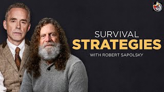 Of Baboons and Men  Robert Sapolsky  EP 390 [upl. by Ching]