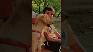 Bella gyi park mai goldenretriever dogbreed doglover dogs pets park [upl. by Yetac]