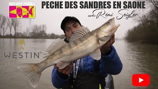 PECHE DES SANDRES EN SAONE [upl. by Alidus]