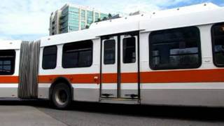 Mississauga Brampton amp York Region Transit Bus Systems [upl. by Aserehtairam]